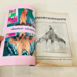 ไก่ชนพระนเรศวรมหาราช รูปที่ 4