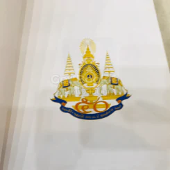 พระบาทสมเด็จพระเจ้าอยู่หัว ค้นรัฐสภา รูปที่ 8