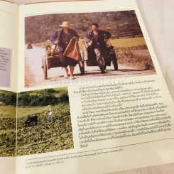พระราชทานเพลิงศพ ชิน โสภณพนิช รูปที่ 28