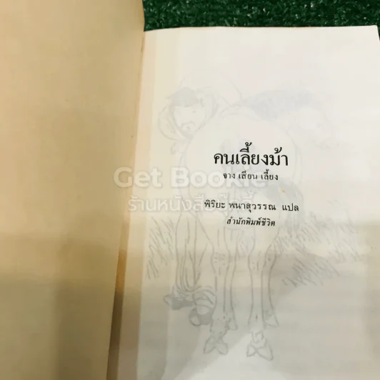 คนเลี้ยงม้า รูปที่ 3