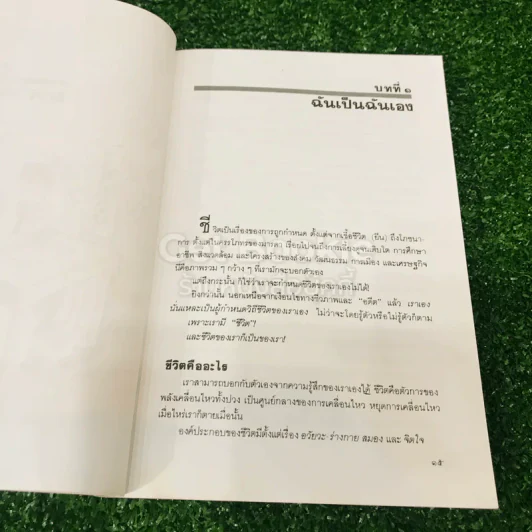เหมือนๆจะแพ้แต่ไม่แพ้ รูปที่ 12