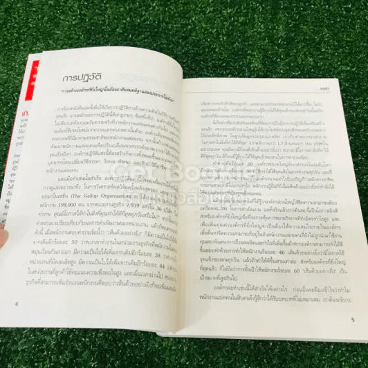 เจาะจุดแข็ง วิธีพัฒนาพรสวรรค์ของลูกน้องและตัวคุณเอง รูปที่ 15