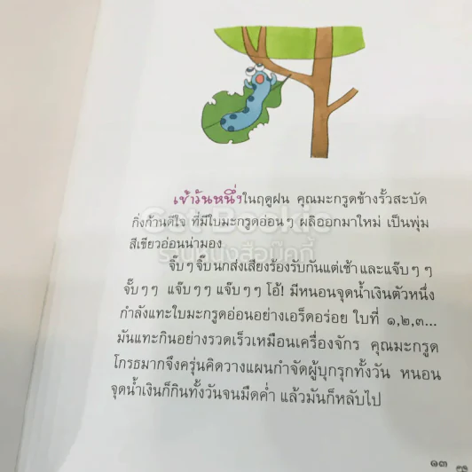 ความดี สีเหลืองส้ม รูปที่ 14