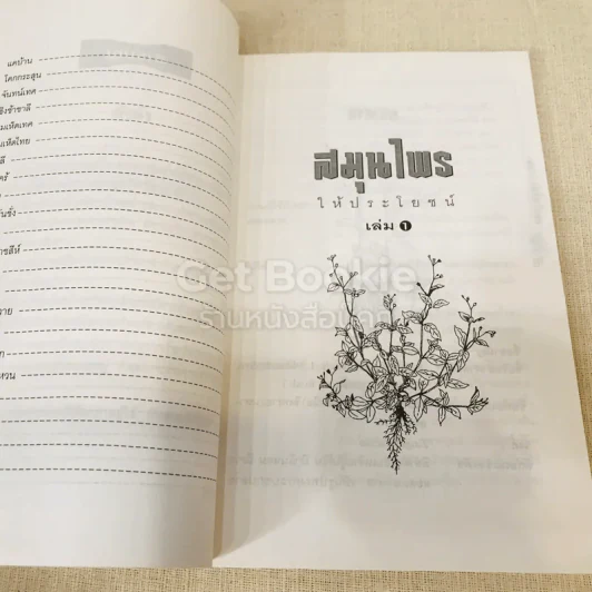 สมุนไพรให้ประโยชน์ 1 รูปที่ 8
