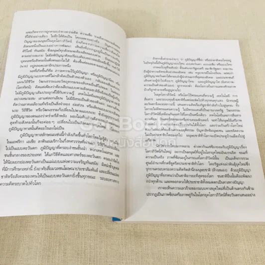 ไทยยุควัฒนธรรมทาส รูปที่ 8