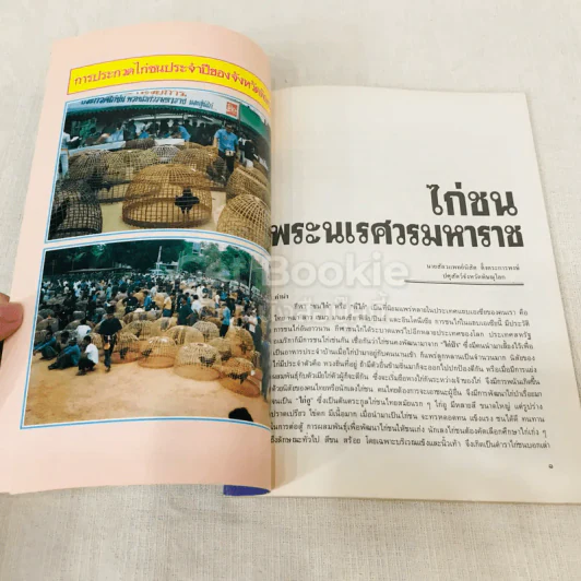 ไก่ชนพระนเรศวรมหาราช รูปที่ 8