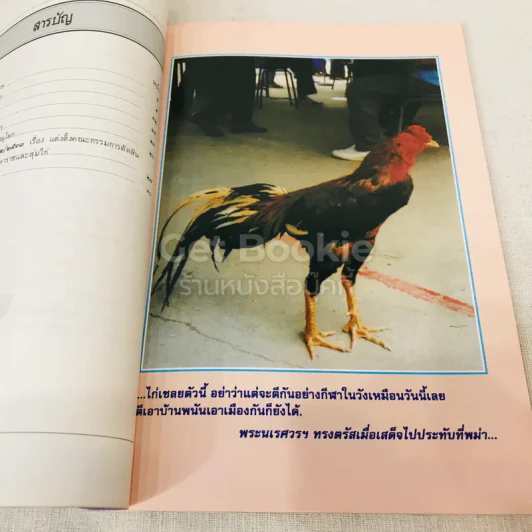 ไก่ชนพระนเรศวรมหาราช รูปที่ 7