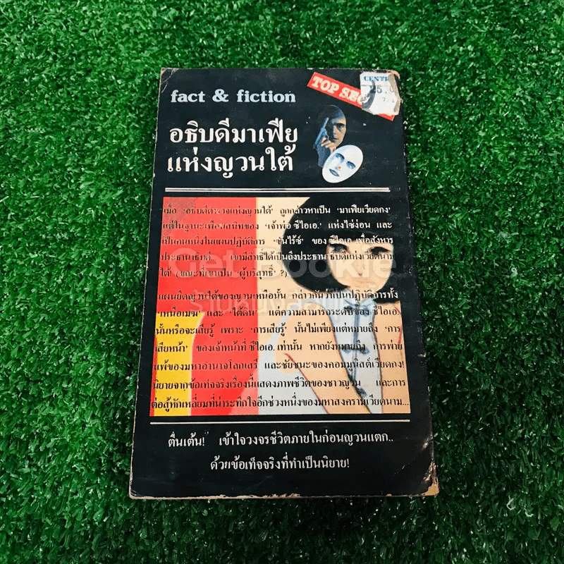 อธิบดีมาเฟียแห่งญวนใต้ รูปที่ 10