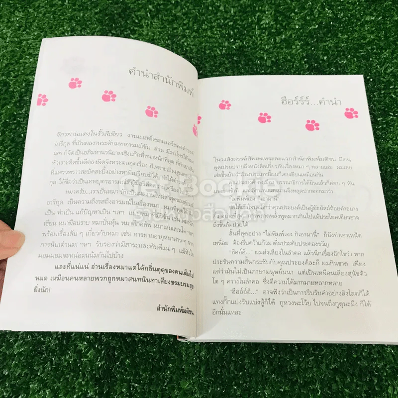 หมาครับ เราเป็นหมา รูปที่ 7