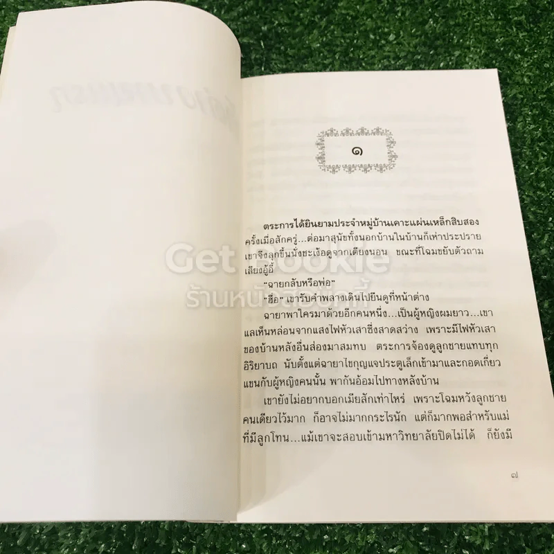 หน้าต่างบานแรก รูปที่ 8