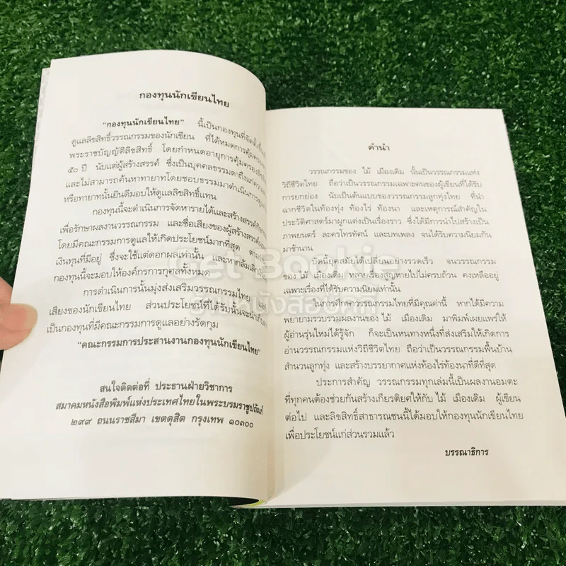 บ้านนอกเข้ากรุง รูปที่ 7