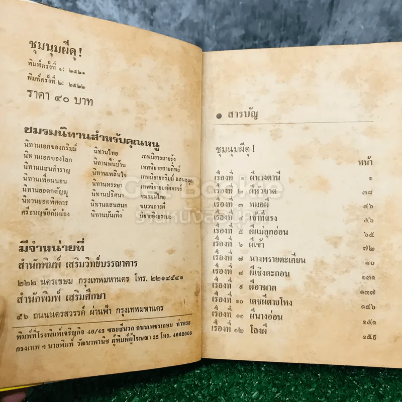 ชุมนุมผีดุ รูปที่ 6