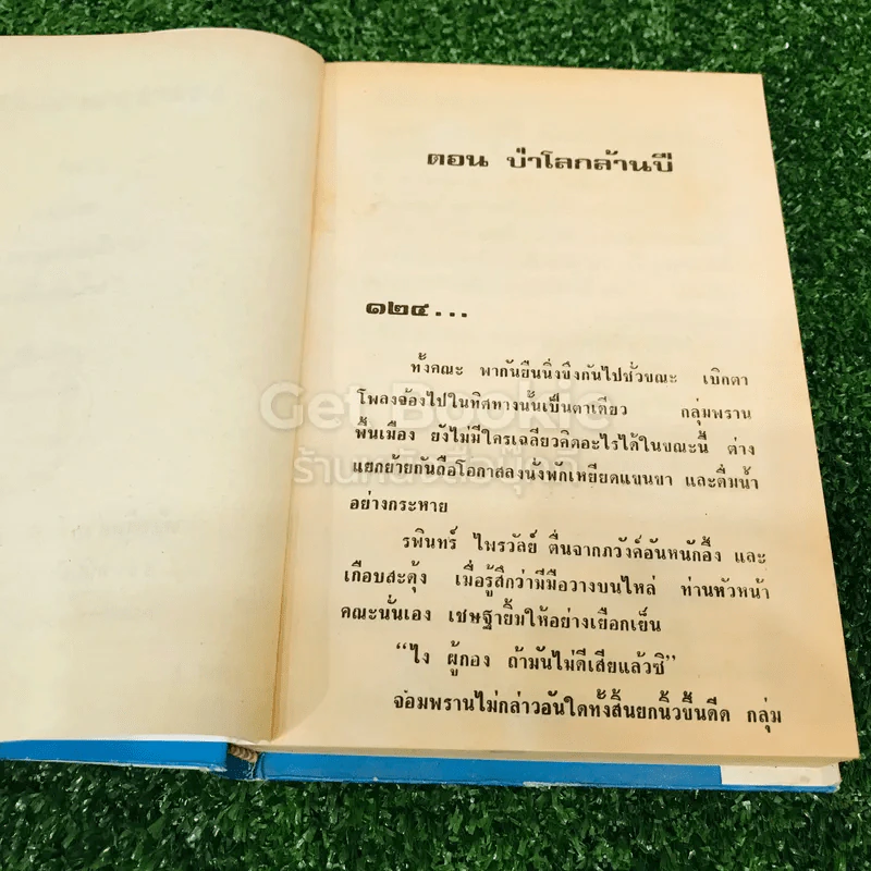 เพชรพระอุมา ตอน ป่าโลกล้านปี 4 เล่มจบ รูปที่ 12