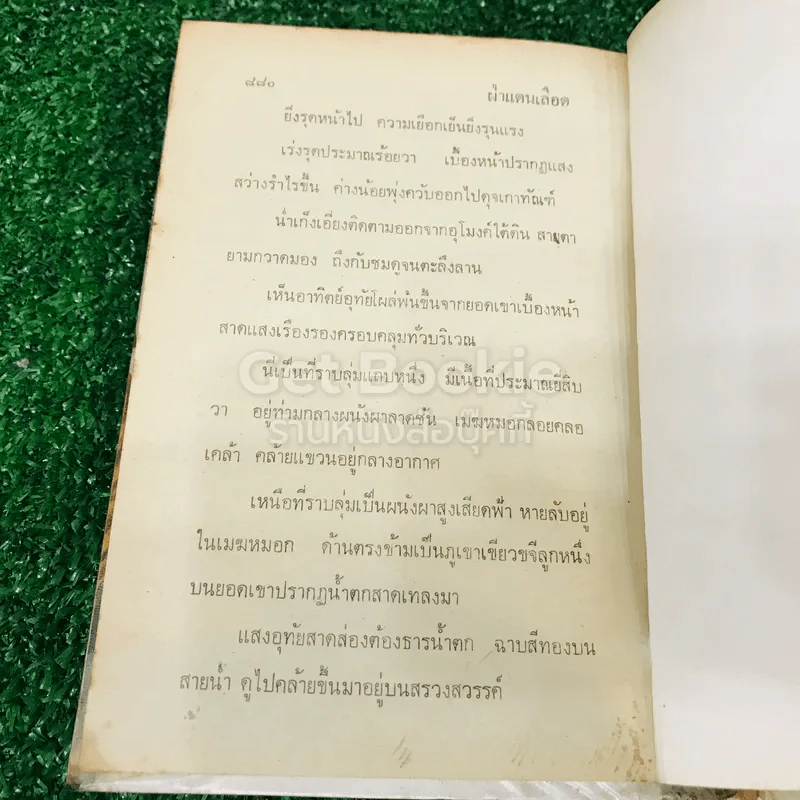 ฝ่าแดนเลือด 4 เล่มจบ - น.นพรัตน์ รูปที่ 13