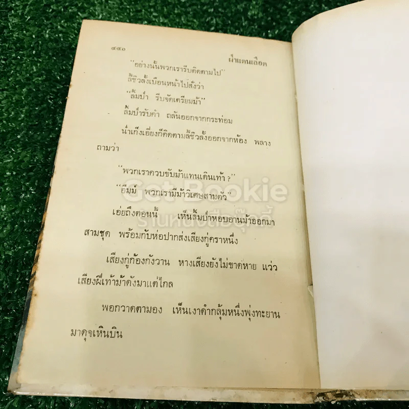 ฝ่าแดนเลือด 4 เล่มจบ - น.นพรัตน์ รูปที่ 10