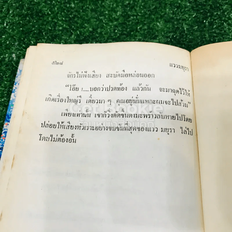 แววมยุรา 2 เล่มจบ - พนมเทียน รูปที่ 22