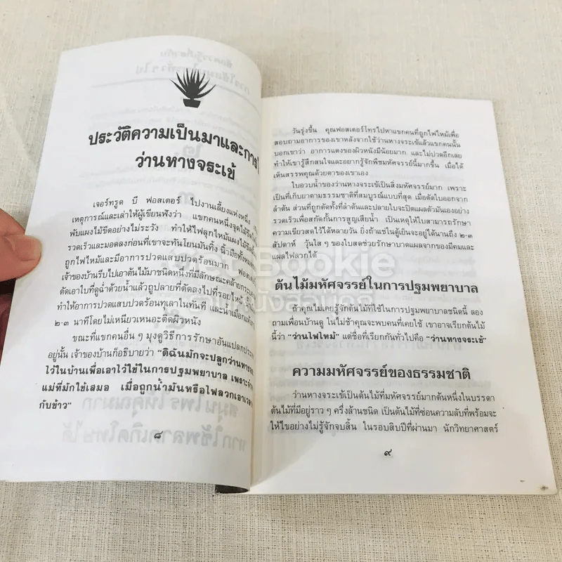 คู่มือว่านหางจระเข้ สมุนไพรมหัศจรรย์จากธรรมชาติ รูปที่ 8
