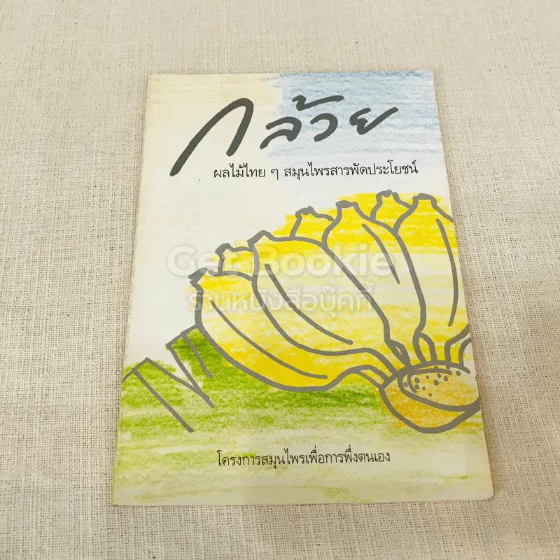 กล้วย ผลไม้ไทยๆสมุนไพรสารพัดประโยชน์ รูปที่ 1