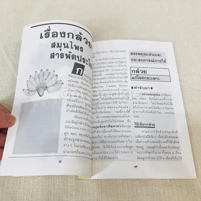 กล้วย ผลไม้ไทยๆสมุนไพรสารพัดประโยชน์ รูปที่ 8