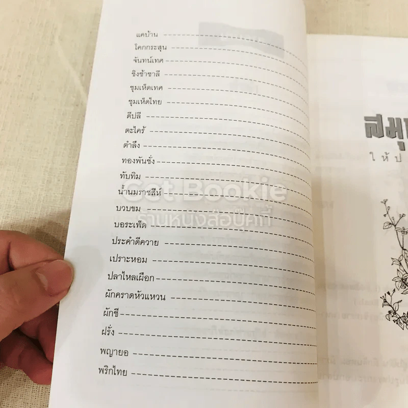 สมุนไพรให้ประโยชน์ 1 รูปที่ 7