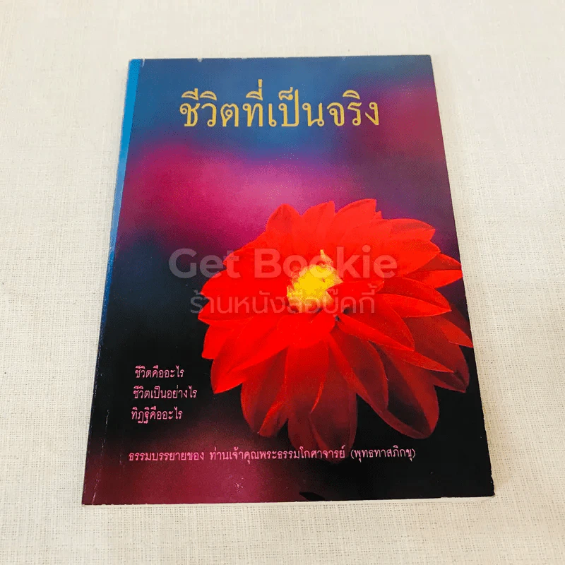 ชีวิตที่เป็นจริง รูปที่ 1