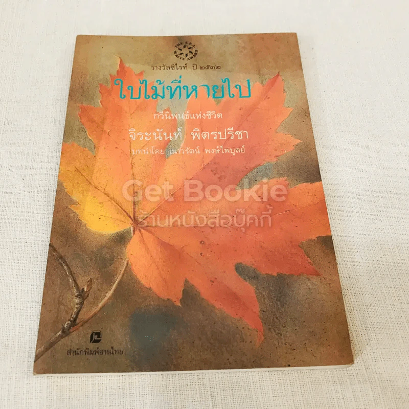 ใบไม้ที่หายไป รูปที่ 1