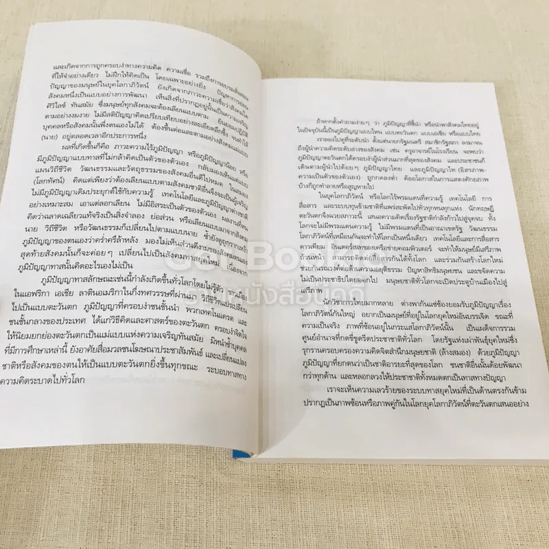 ไทยยุควัฒนธรรมทาส รูปที่ 8