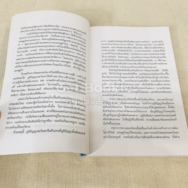 ไทยยุควัฒนธรรมทาส รูปที่ 10