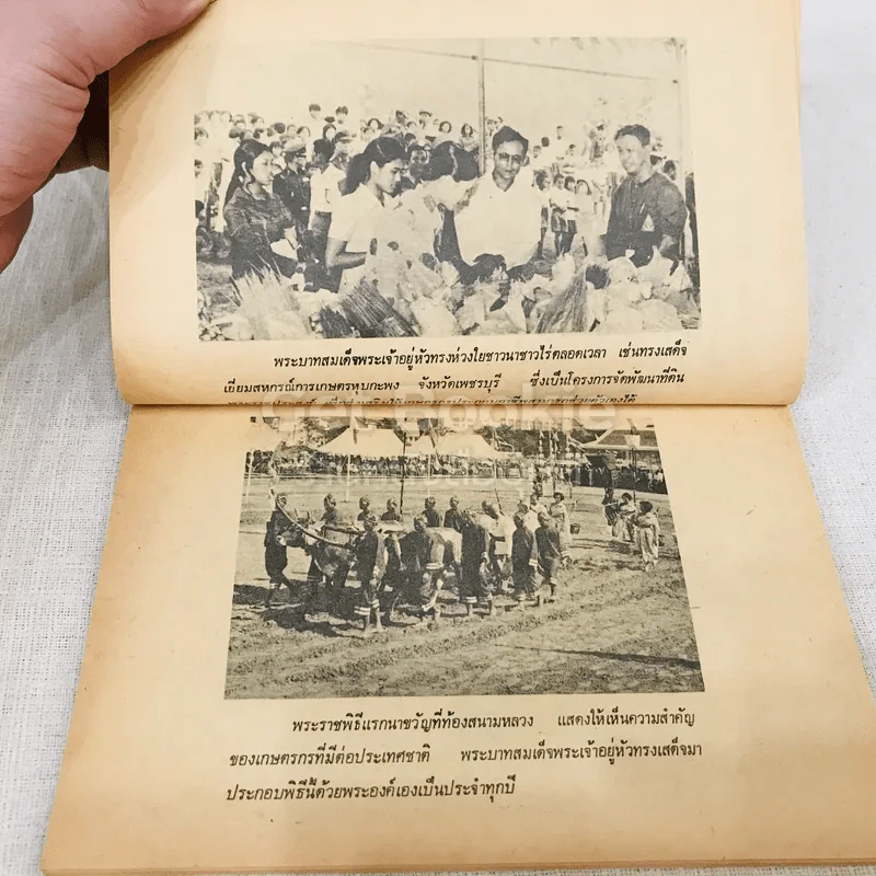 ชาวนาชาวไร่ก้าวหน้า รูปที่ 9
