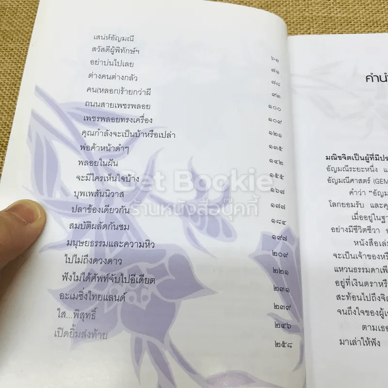 เปิดอกแม่ค้าพลอย รูปที่ 7