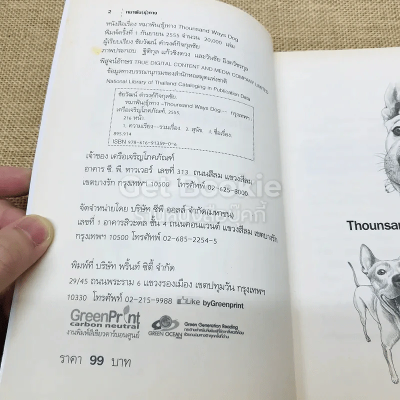 หมาพัน(ธุ์)ทาง 1,000 Ways Dog รูปที่ 4