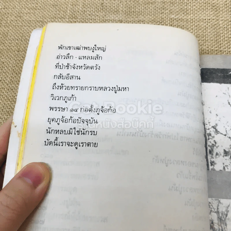 หลวงปู่หล้า เขมปตฺโต รูปที่ 10