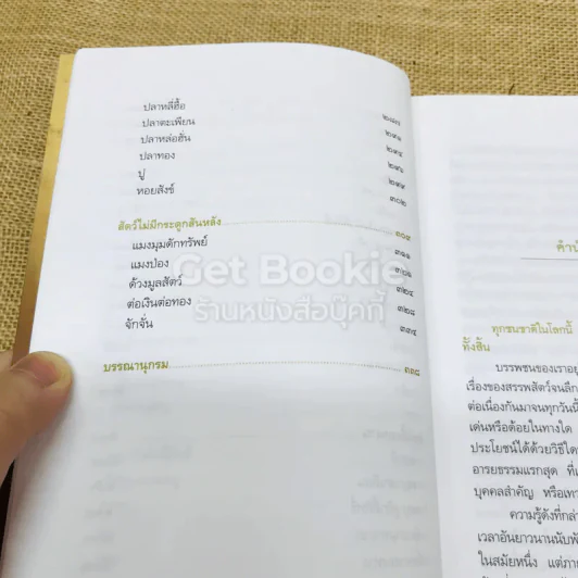 สัตว์มงคล เครื่องราง ของขลัง รูปที่ 10