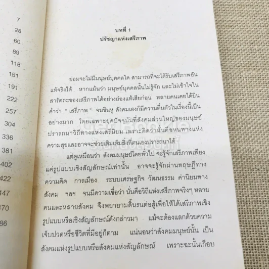 เสรีภาพที่ไร้เดียงสา รูปที่ 9