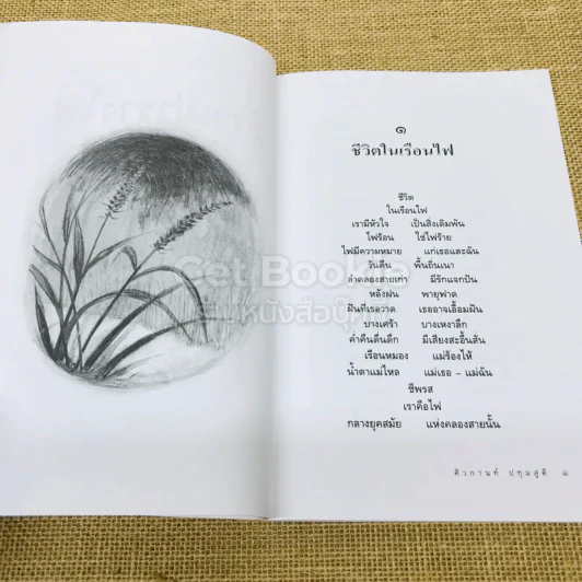ข้าวเม่ารางไฟ รูปที่ 12