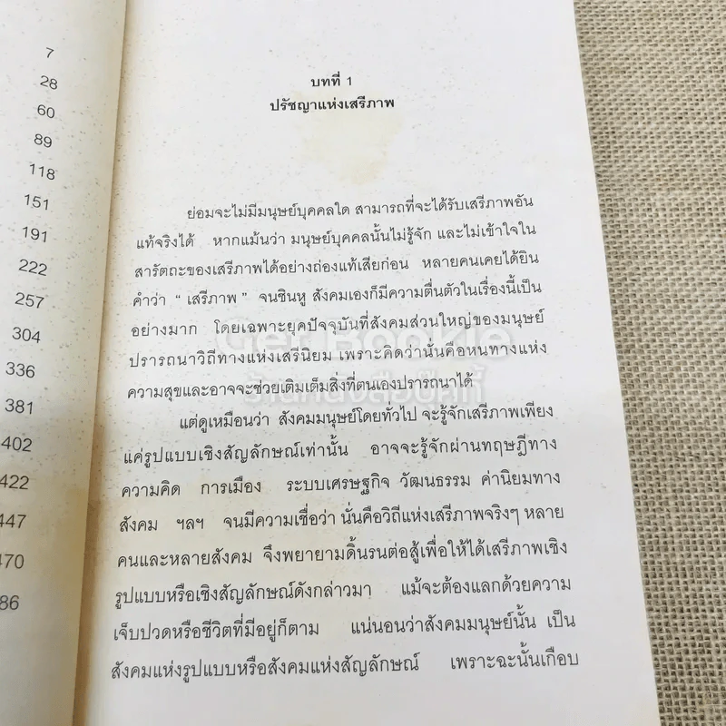 เสรีภาพที่ไร้เดียงสา รูปที่ 9