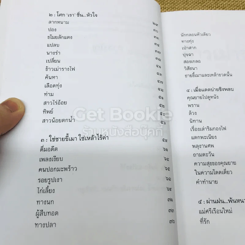 ข้าวเม่ารางไฟ รูปที่ 9