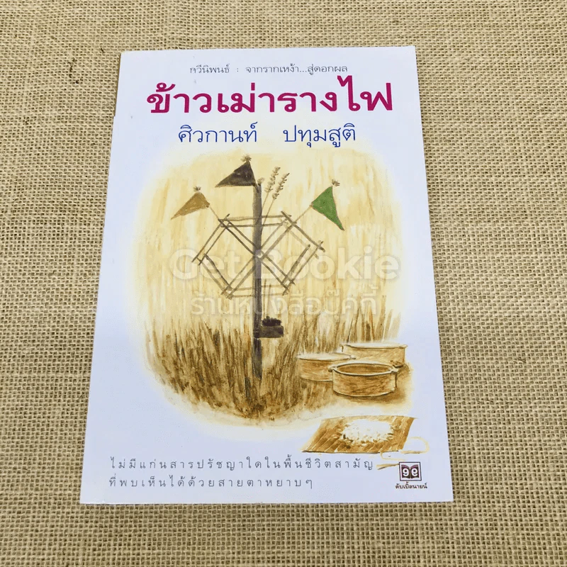 ข้าวเม่ารางไฟ รูปที่ 1