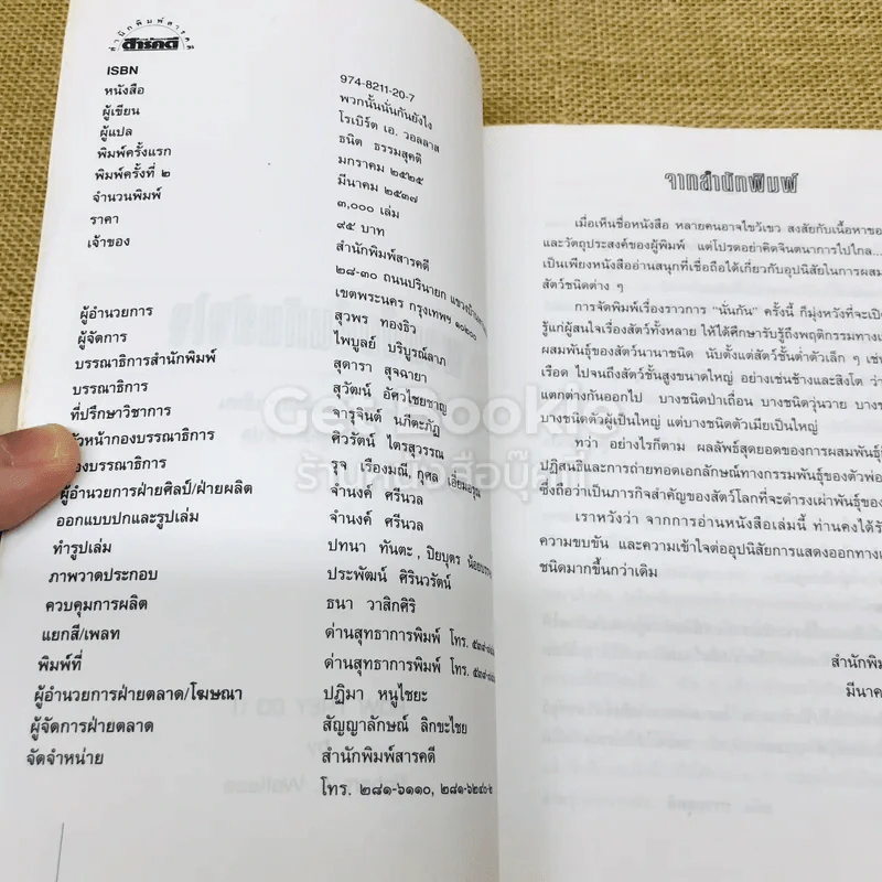 พวกนั้นนั่นกันยังไง รูปที่ 4