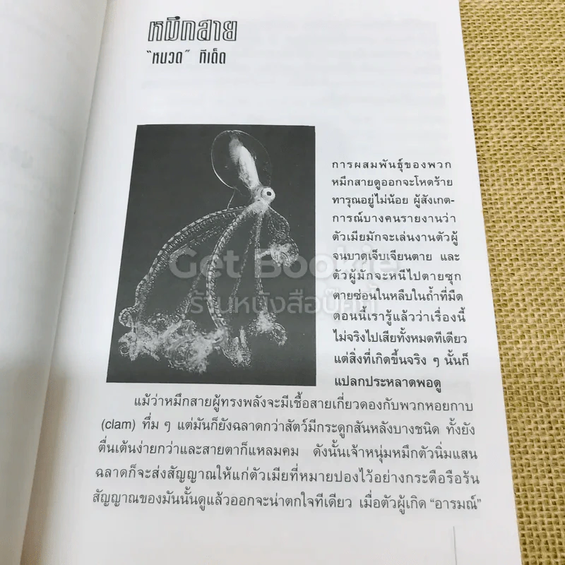 พวกนั้นนั่นกันยังไง รูปที่ 7