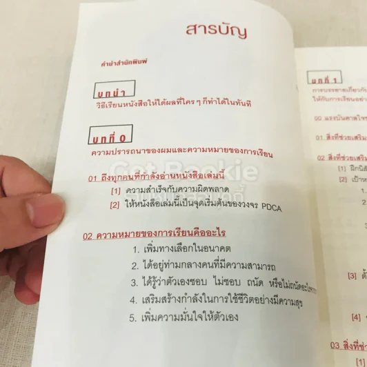 ราชาสมองเพชร รูปที่ 7