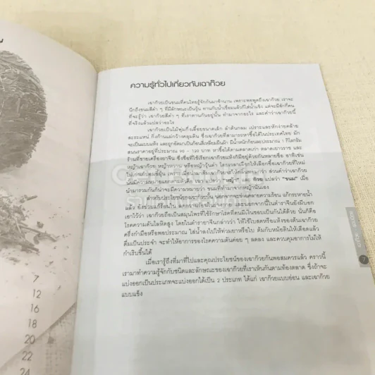 เฉาก๊วยรวมมิตร รูปที่ 7