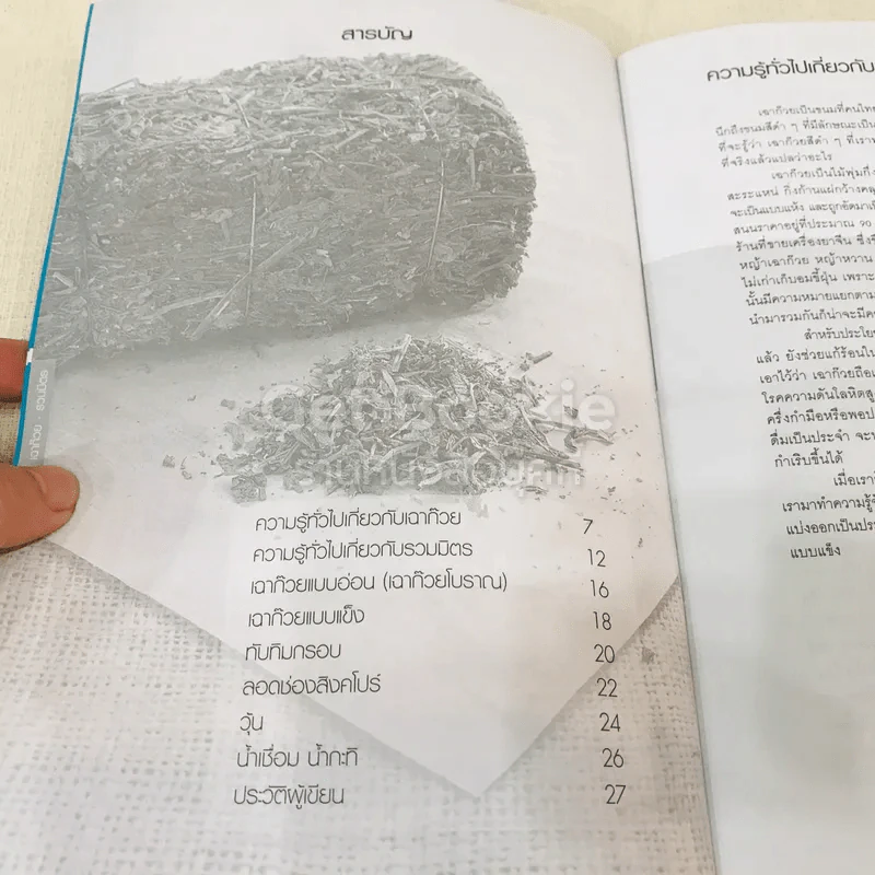 เฉาก๊วยรวมมิตร รูปที่ 6