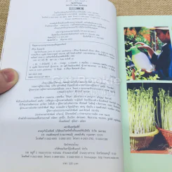 ปลูกผักกันเถอะ รูปที่ 5