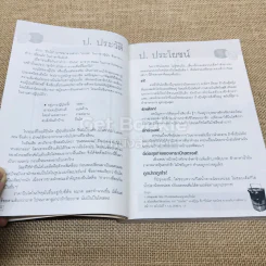 ปิ่นโต รูปที่ 11
