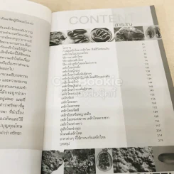 เหล็กไหล ตำนานแห่งธาตุกายสิทธิ์ รูปที่ 8