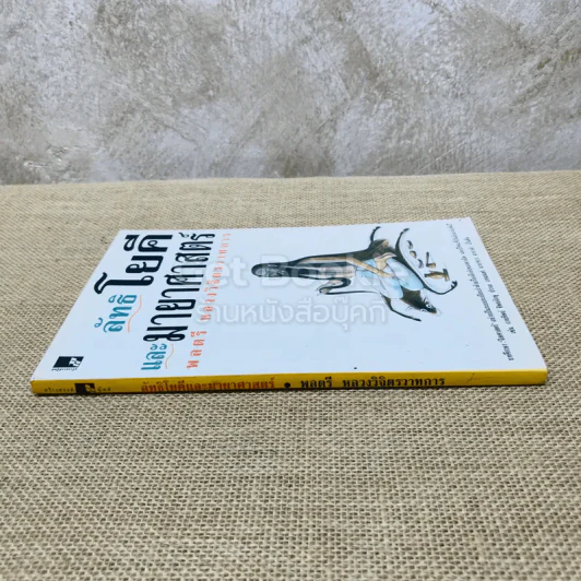 ลัทธิโยคีและมายาศาสตร์ - พลตรี หลวงวิจิตรวาทการ รูปที่ 2