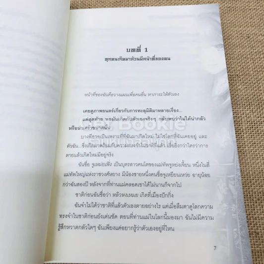 พลิกดินเปลี่ยนฟ้าล่าบัลลังก์ รูปที่ 5