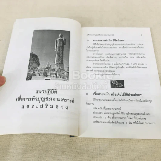 แก้กรรม ทำบุญเสริมดวง สะเดาะเคราะห์ รูปที่ 9
