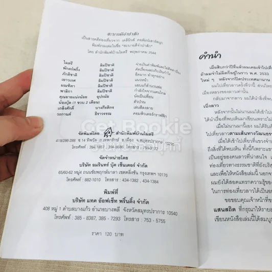 สะบายดีจำปาสัก รูปที่ 6